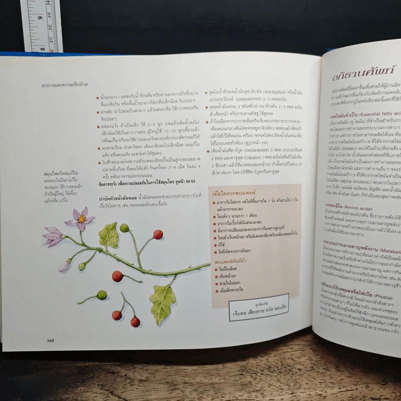 รักษาโรคด้วยวิธีธรรมชาติ - Reader's Digest รีดเดอร์สไดเจสท์ รูปที่ 13