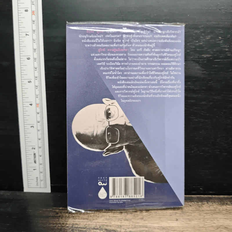 Foucault ฟูโกต์ : ความรู้ฉบับพกพา - Gary Gutting (แกรี กัตติง) รูปที่ 2