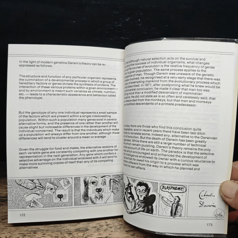 Introducing Darwin: A Graphic Guide - Jonathan Miller รูปที่ 10