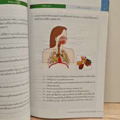 หนังสือเรียนรายวิชาเพิ่มเติมวิทยาศาสตร์ ชั้นมัธยมศึกษาปีที่ 5 ชีววิทยา เล่ม 4 รูปที่ 10