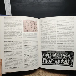 Oxford Illustrated Encyclopedia of The Arts รูปที่ 8
