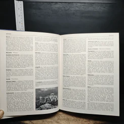Oxford Illustrated Encyclopedia : Volume 3, World History from Earliest Times to 1800 รูปที่ 9