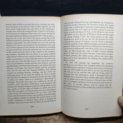 Midnight's Children - Salman Rushdie รูปที่ 10