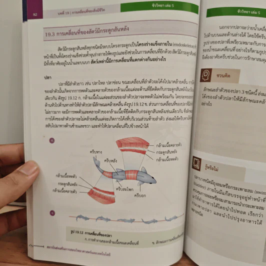 หนังสือเรียนรายวิชาเพิ่มเติมวิทยาศาสตร์และเทคโนโลยี ชั้นมัธยมศึกษาปีที่ 6 ชีววิทยา เล่ม 5 รูปที่ 10