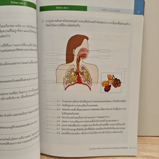 หนังสือเรียนรายวิชาเพิ่มเติมวิทยาศาสตร์ ชั้นมัธยมศึกษาปีที่ 5 ชีววิทยา เล่ม 4 รูปที่ 10