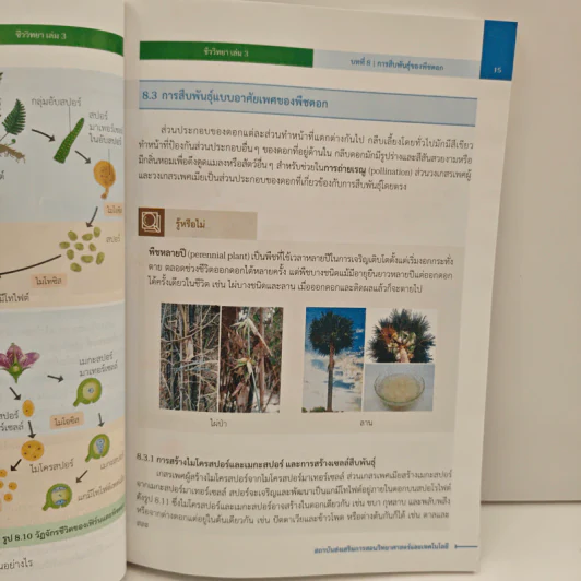 หนังสือเรียนรายวิชาเพิ่มเติมวิทยาศาสตร์และเทคโนโลยี ชั้นมัธยมศึกษาปีที่ 5 ชีววิทยา เล่ม 3 รูปที่ 10
