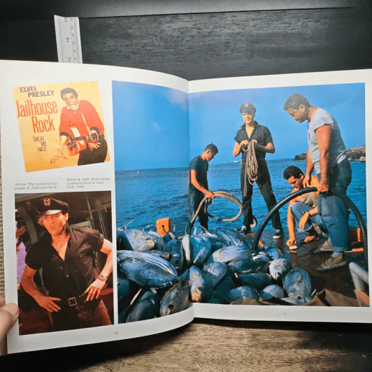 The Elvis Album - Millie Ridge รูปที่ 10