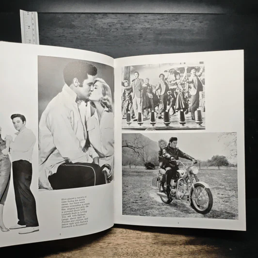 The Elvis Album - Millie Ridge รูปที่ 9