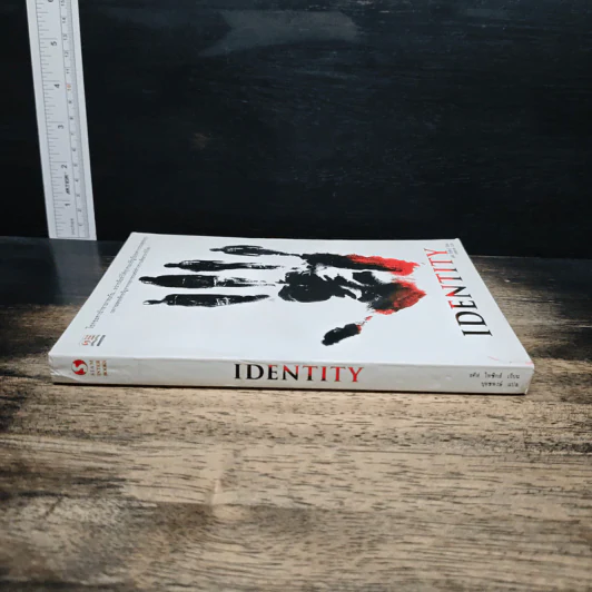 Identity - สตีฟ ไพซิกส์ รูปที่ 3