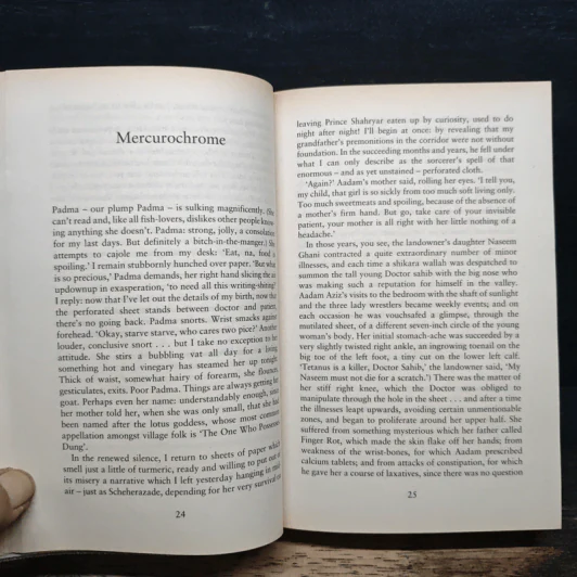 Midnight's Children - Salman Rushdie รูปที่ 9