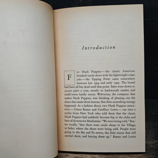 The Tipping Point - Malcolm Gladwell รูปที่ 9