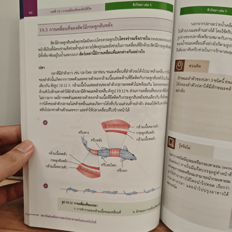 หนังสือเรียนรายวิชาเพิ่มเติมวิทยาศาสตร์และเทคโนโลยี ชั้นมัธยมศึกษาปีที่ 6 ชีววิทยา เล่ม 5 รูปที่ 10
