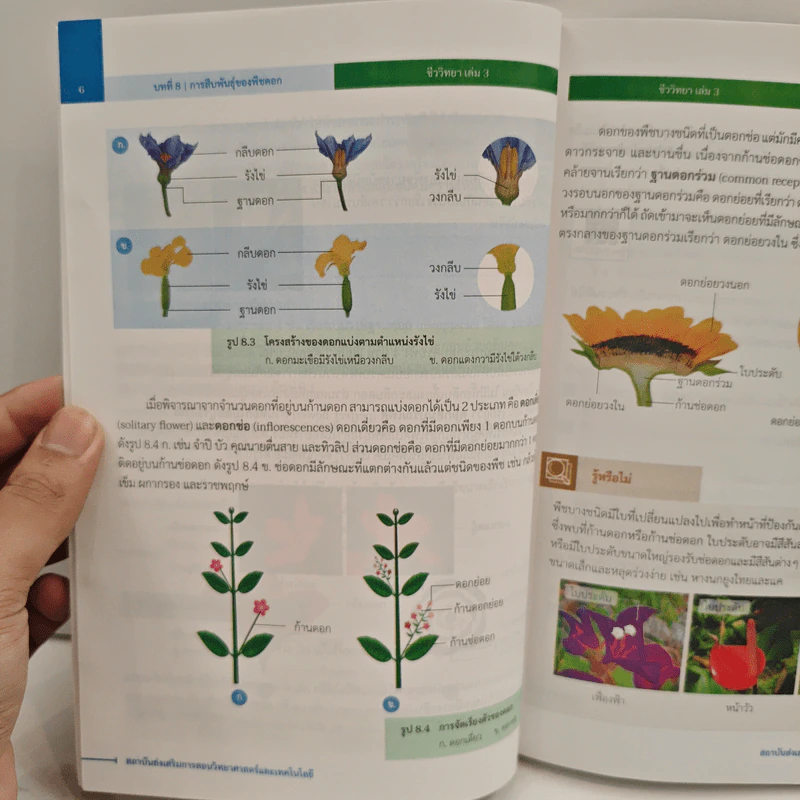 หนังสือเรียนรายวิชาเพิ่มเติมวิทยาศาสตร์และเทคโนโลยี ชั้นมัธยมศึกษาปีที่ 5 ชีววิทยา เล่ม 3 รูปที่ 9