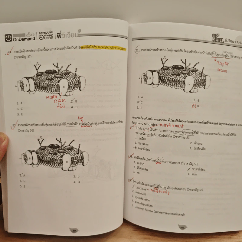Upskill ชีววิทยา A-level เล่ม 1 รูปที่ 9