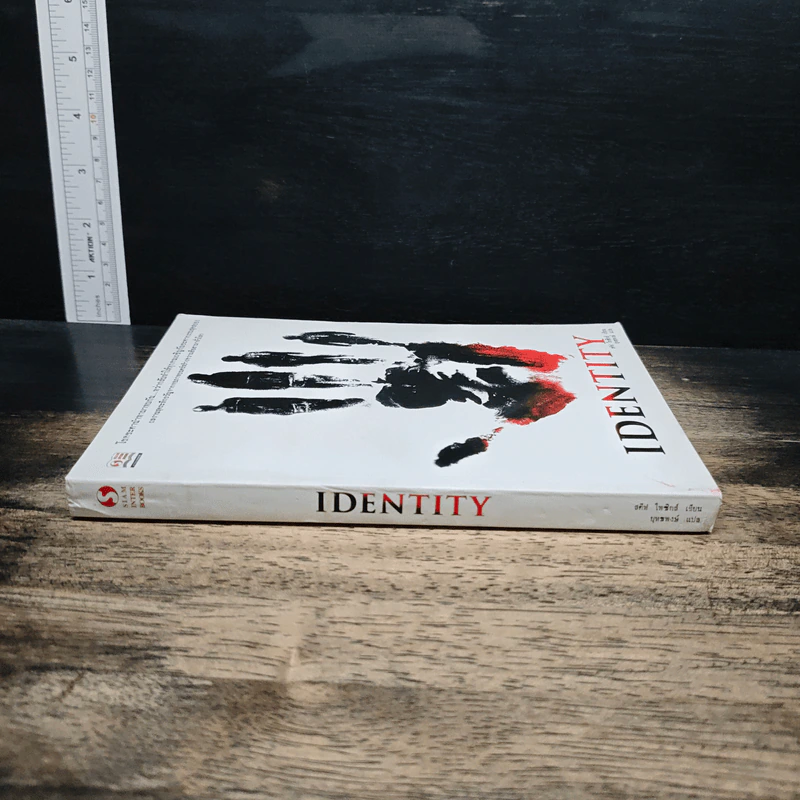 Identity - สตีฟ ไพซิกส์ รูปที่ 3