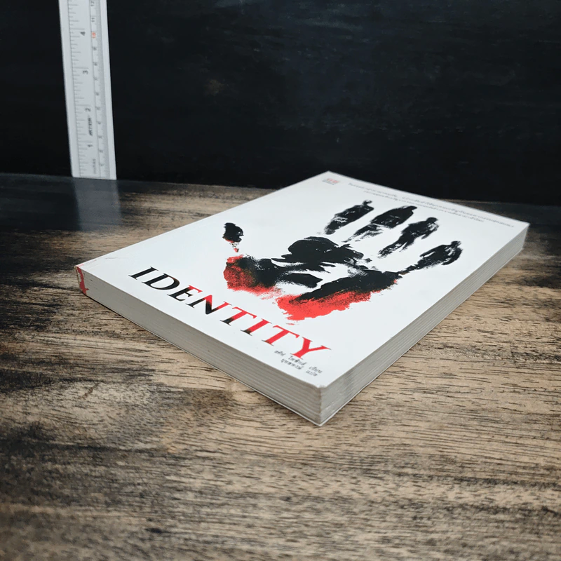 Identity - สตีฟ ไพซิกส์ รูปที่ 4