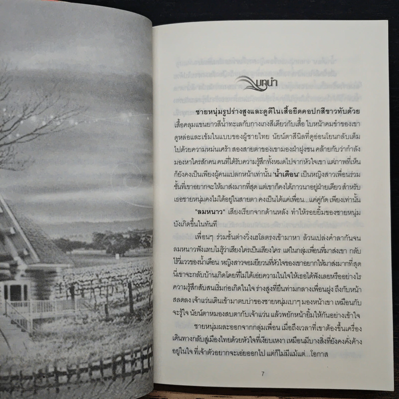 เปลวรักสีรุ้ง - นัฐชา รูปที่ 7