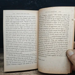 What the Dog Saw and Other Adventures - Malcolm Gladwell รูปที่ 11