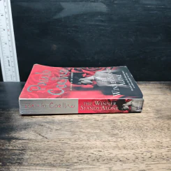 The Winner Stands Alone - Paulo Coelho รูปที่ 3
