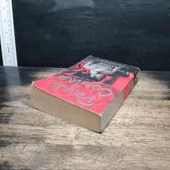 The Winner Stands Alone - Paulo Coelho รูปที่ 5