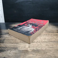 The Winner Stands Alone - Paulo Coelho รูปที่ 4