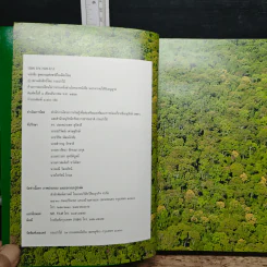 อุทยานแห่งชาติในเมืองไทย รวมข้อมูลและภาพอุทยานแห่งชาติทั่วเมืองไทย รูปที่ 6
