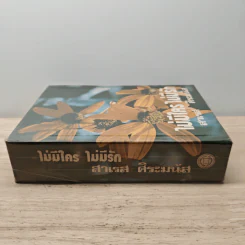 ไม่มีใครไม่มีรัก - สาเรส ศิระมนัส รูปที่ 2