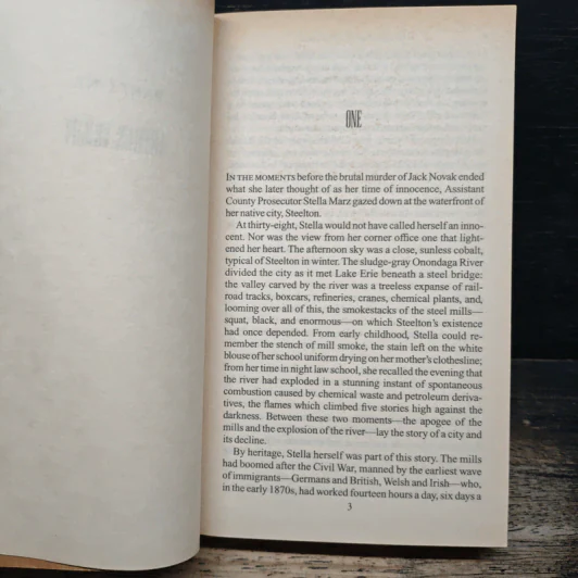 Dark Lady - Richard North Patterson รูปที่ 7