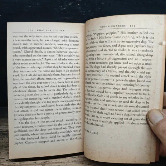 What the Dog Saw and Other Adventures - Malcolm Gladwell รูปที่ 11