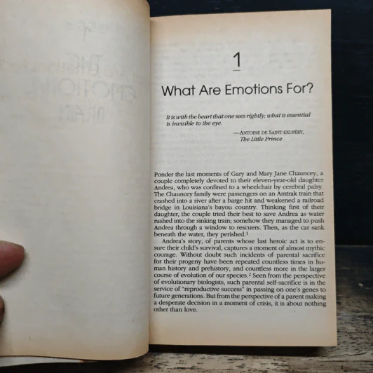 Emotional Intelligence - Daniel Goleman รูปที่ 9