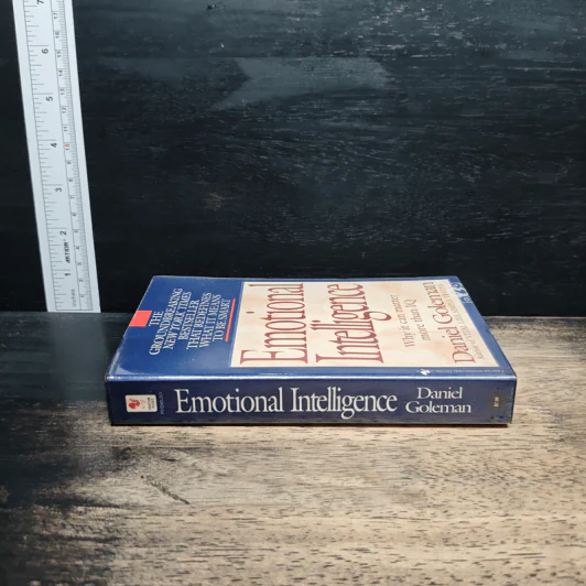 Emotional Intelligence - Daniel Goleman รูปที่ 3