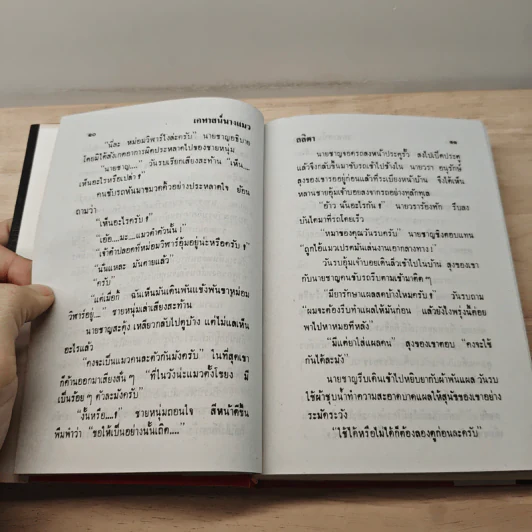 เคหาสน์นางแมว - ลลิตา รูปที่ 8