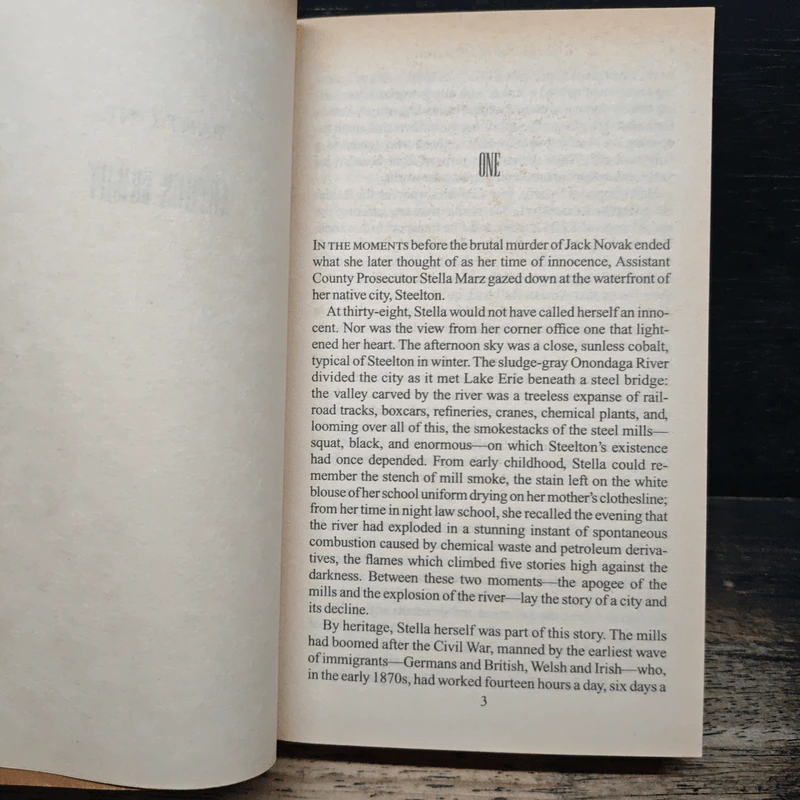 Dark Lady - Richard North Patterson รูปที่ 7