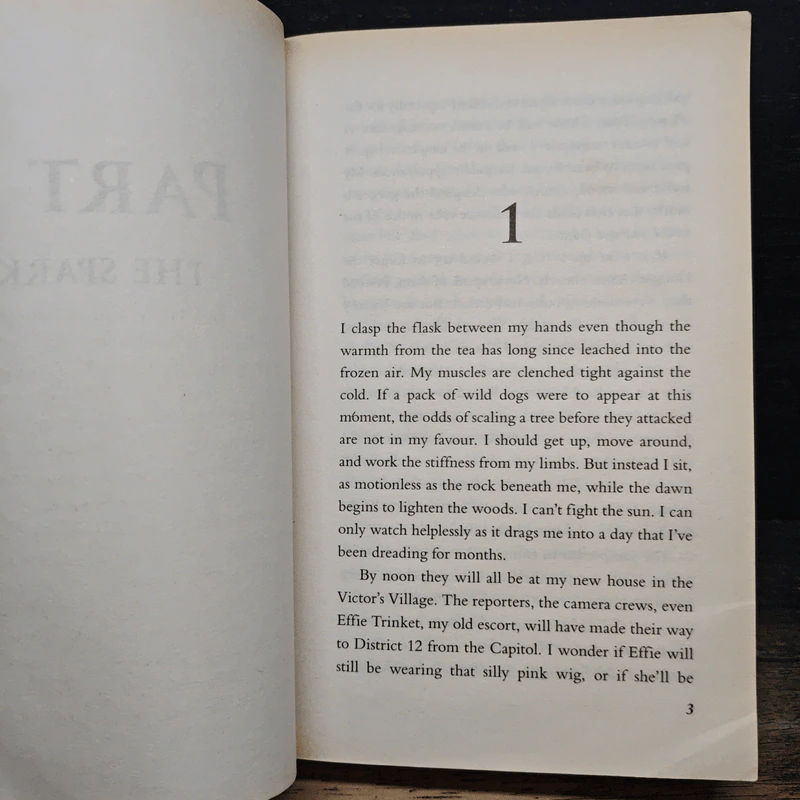 The Hunger Games Catching Fire - Suzanne Collins รูปที่ 8