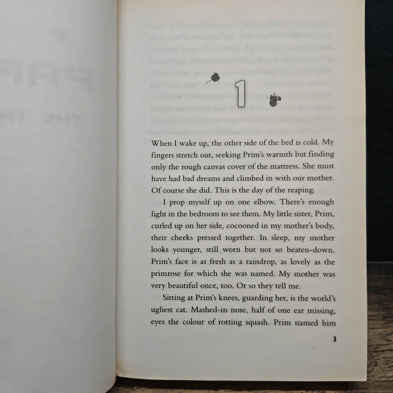 The Hunger Games - Suzanne Collins รูปที่ 8