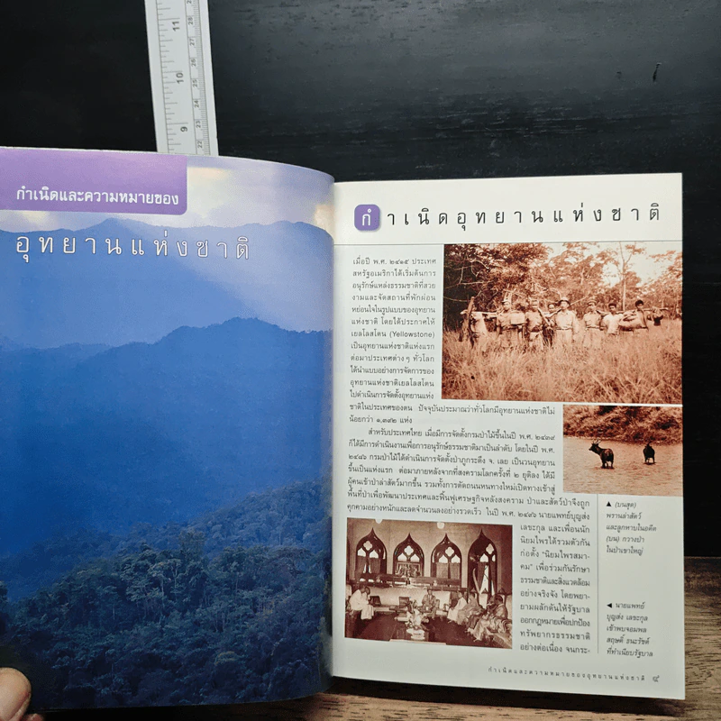 อุทยานแห่งชาติในเมืองไทย รวมข้อมูลและภาพอุทยานแห่งชาติทั่วเมืองไทย รูปที่ 8