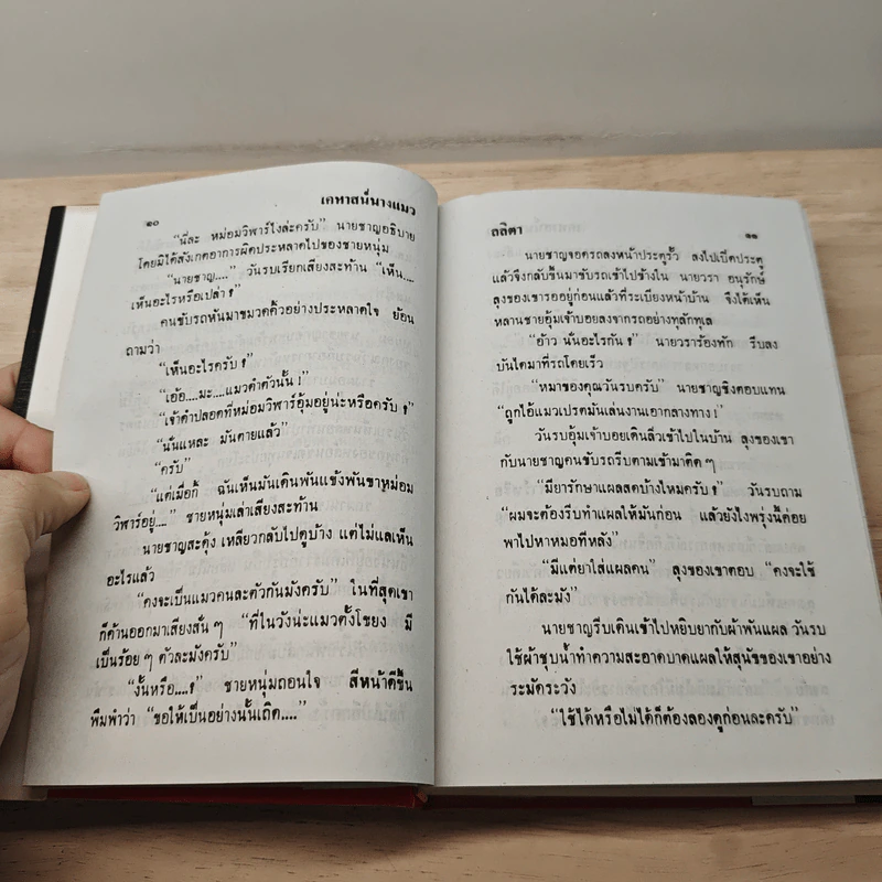 เคหาสน์นางแมว - ลลิตา รูปที่ 8