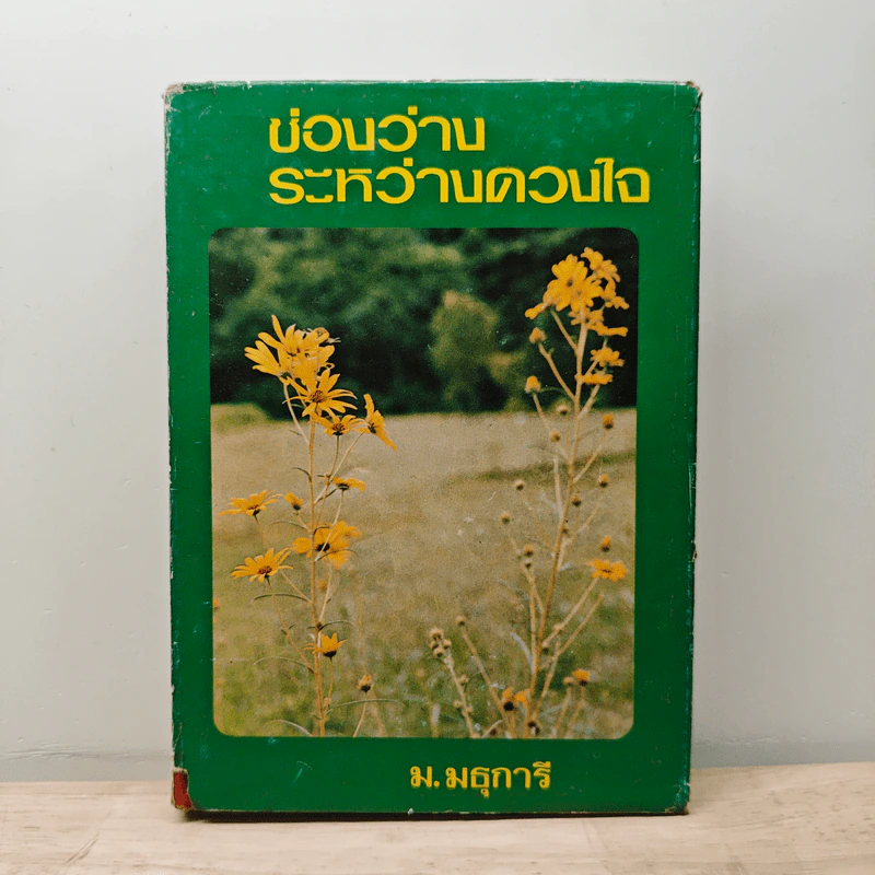 ช่องว่างระหว่างดวงใจ เล่ม 2 - ม.มธุการี รูปที่ 1