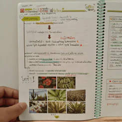 2218 การสังเคราะห์ด้วยแสง รูปที่ 9