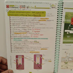 2218 การสังเคราะห์ด้วยแสง รูปที่ 7