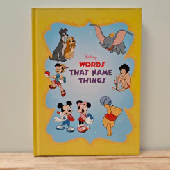 Walt Disney's Words That Name Things