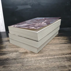 Boxset กลรักสกัดครองโลก 3 เล่มจบ - ชาเสี่ยวหวาน รูปที่ 6