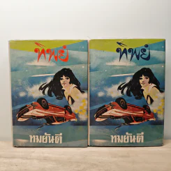 ทิพย์ 2 เล่มจบ - ทมยันตี