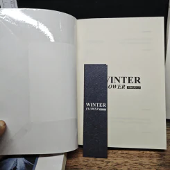 Rainy Song + Winter Flower + Summer Color - Writers รูปที่ 9