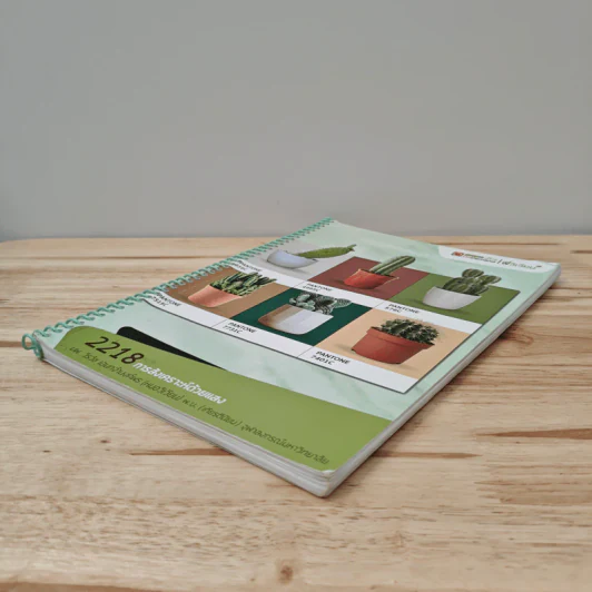 2218 การสังเคราะห์ด้วยแสง รูปที่ 3