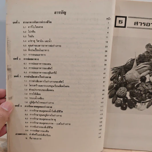 หนังสือเรียนวิชา ชีววิทยา ว 041 รูปที่ 7