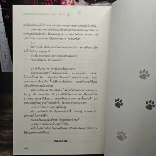 Boxset นิยายวาย ฮัสกี้หน้าโง่กับอาจารย์เหมียวขาวของเขา 10 เล่มจบ - โร่วเปาปู้ชือโร่ว (rou bao bu chi rou) รูปที่ 13