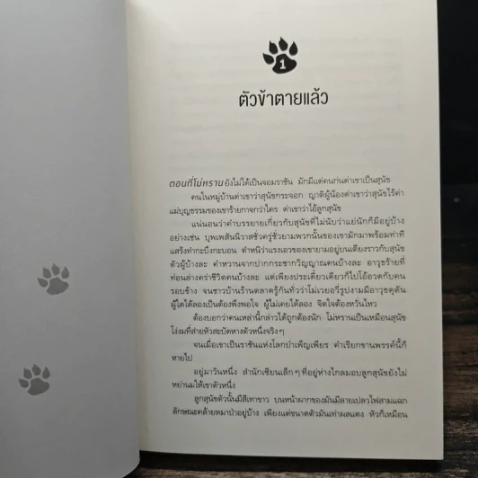 Boxset นิยายวาย ฮัสกี้หน้าโง่กับอาจารย์เหมียวขาวของเขา 10 เล่มจบ - โร่วเปาปู้ชือโร่ว (rou bao bu chi rou) รูปที่ 11