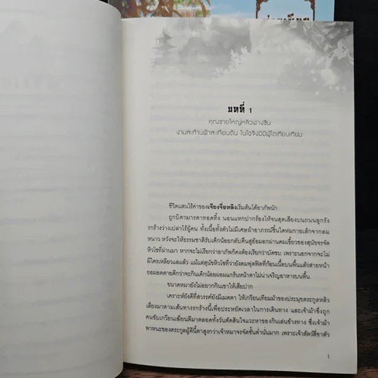 ท่านเซียน ได้โปรดสร้างป้ายบอกทางบนเขาของท่านทีเถอะ! เล่ม 1-2 - littlepig รูปที่ 7