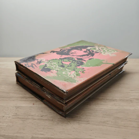 หัวใจร้อยห้อง - ดาวไสว ไพจิตร รูปที่ 4